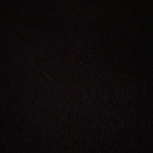 Meet your Posher, Serena